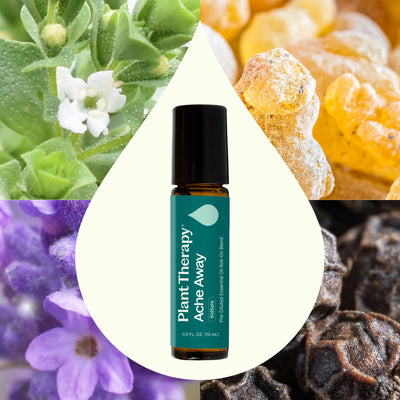 Plant Therapy 複方精油滾珠 肌肉紓壓配方