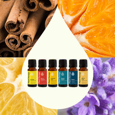 Plant Therapy 6大精選複方精油 能量 防疫 抗菌 速援 放鬆 減壓