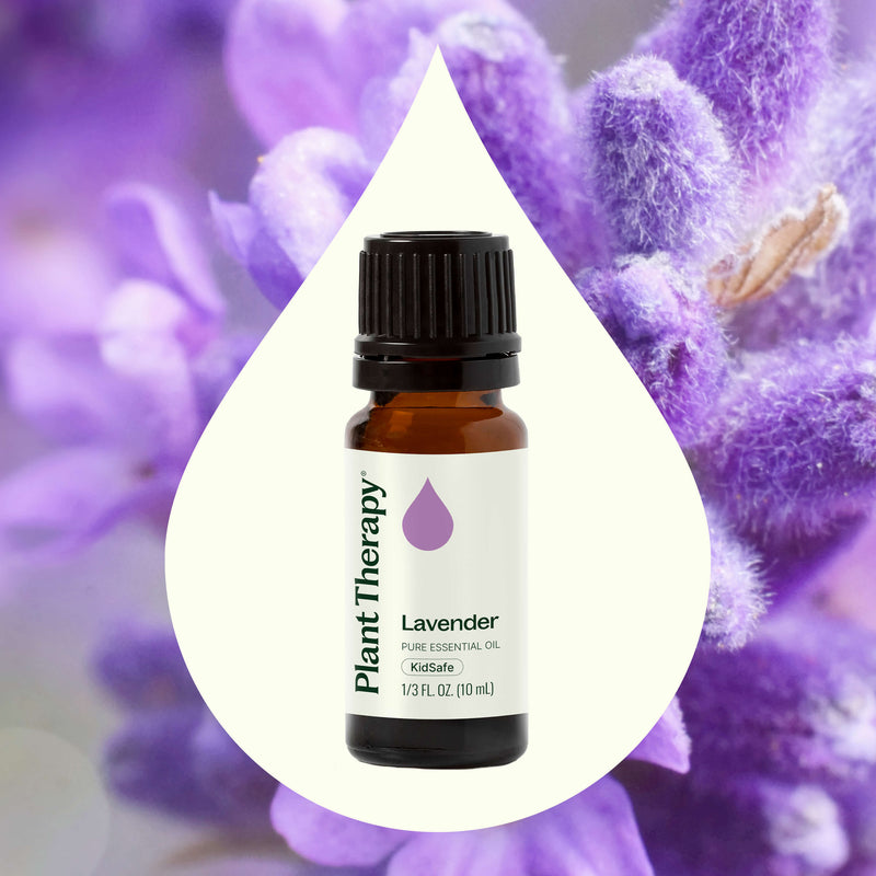 Plant Therapy Lavender Essential Oil 10ml