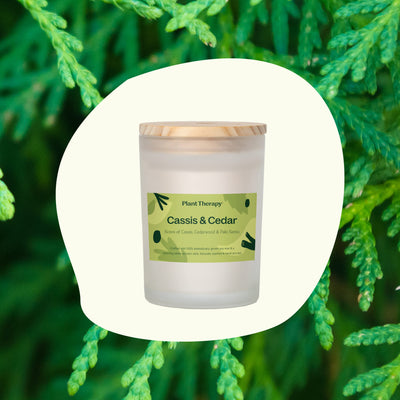 Plant Therapy 黑醋栗雪松天然香氛蠟燭 9oz