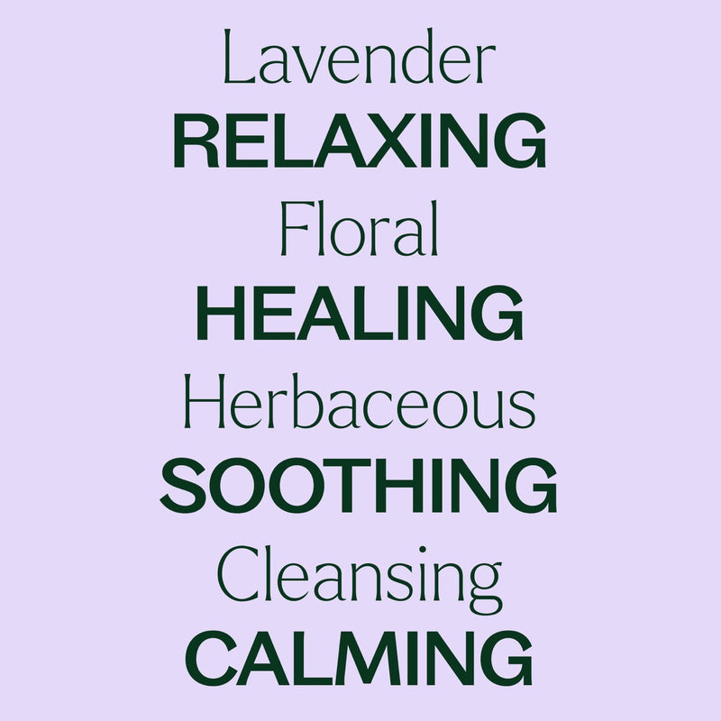 Plant Therapy Lavender Essential Oil 10ml