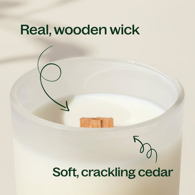 Plant Therapy 黑醋栗雪松天然香氛蠟燭 9oz