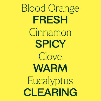 Plant Therapy 天然地毯除味粉