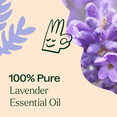 Plant Therapy Lavender Essential Oil 10ml