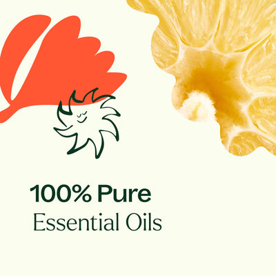 Plant Therapy 柑橘繽紛多用途清潔濃縮液 2件裝