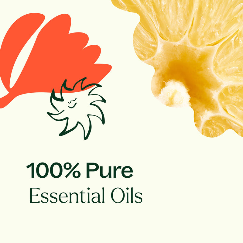 Plant Therapy 柑橘繽紛多用途清潔濃縮液 2件裝