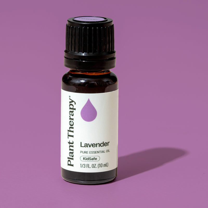 Plant Therapy Lavender Essential Oil 10ml