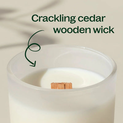 Plant Therapy 黑香脂天然香氛蠟燭 9oz