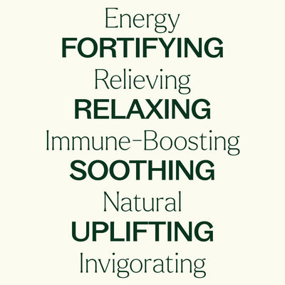 Plant Therapy 6大精選複方精油 能量 防疫 抗菌 速援 放鬆 減壓