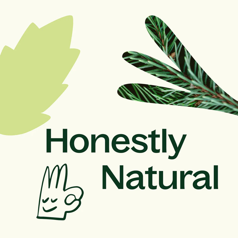 Plant Therapy 黑香脂天然香氛蠟燭 9oz