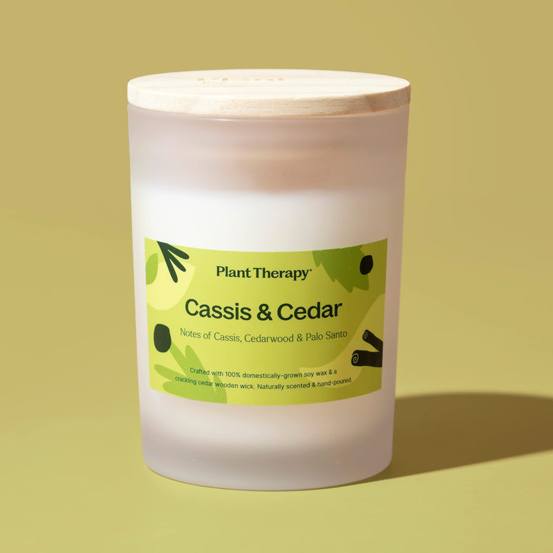 Plant Therapy 黑醋栗雪松天然香氛蠟燭 9oz