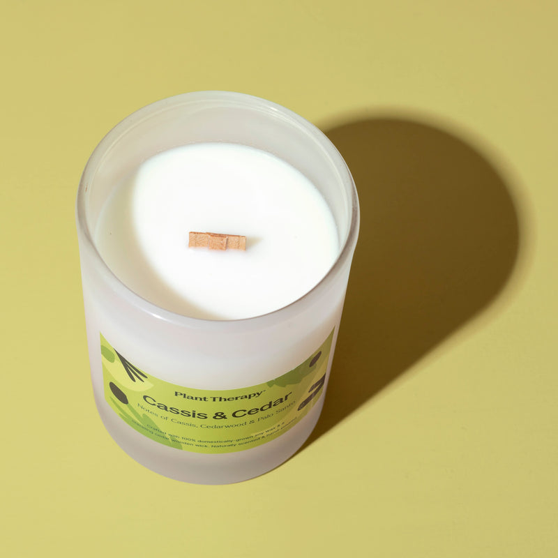 Plant Therapy 黑醋栗雪松天然香氛蠟燭 9oz