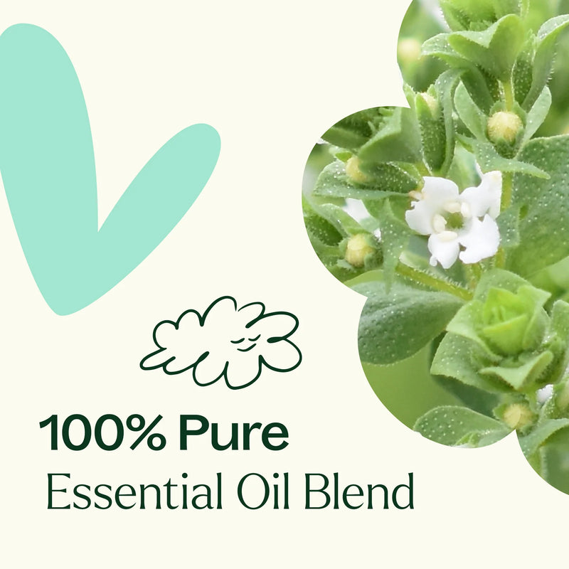 Plant Therapy 複方精油滾珠 肌肉紓壓配方