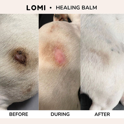 Lomi Healing Balm 45g