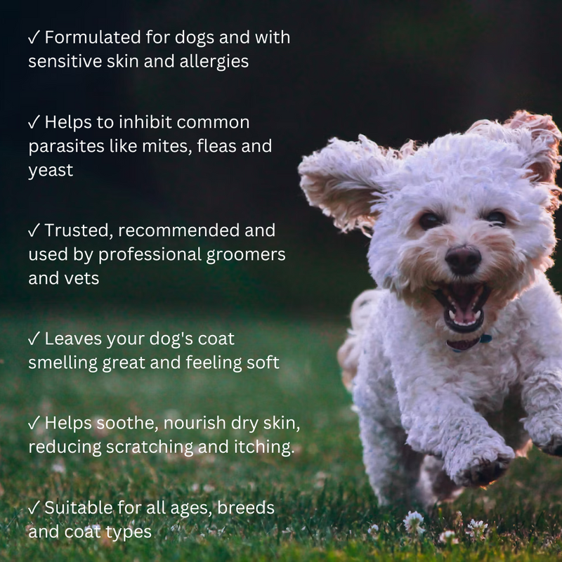 Euclove Natural Dog Shampoo - Salon grade formulation