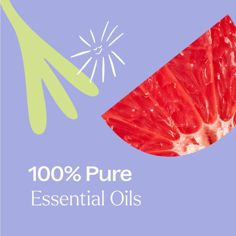 Plant Therapy 高效防護多用途清潔濃縮液 2件裝