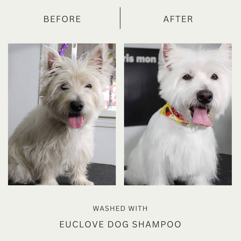 Euclove Natural Dog Shampoo - Salon grade formulation