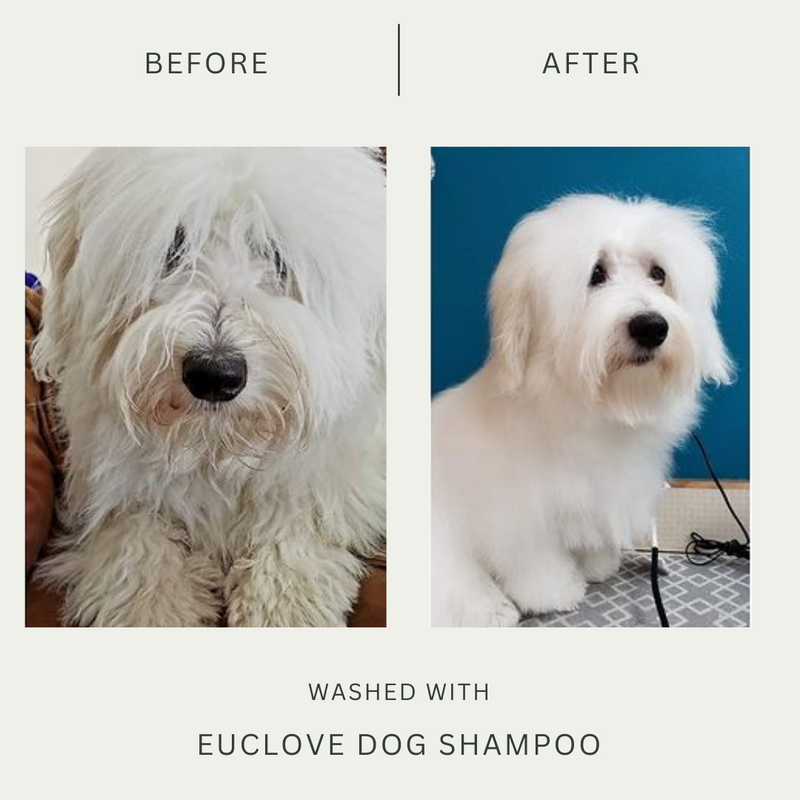 Euclove Natural Dog Shampoo - Salon grade formulation