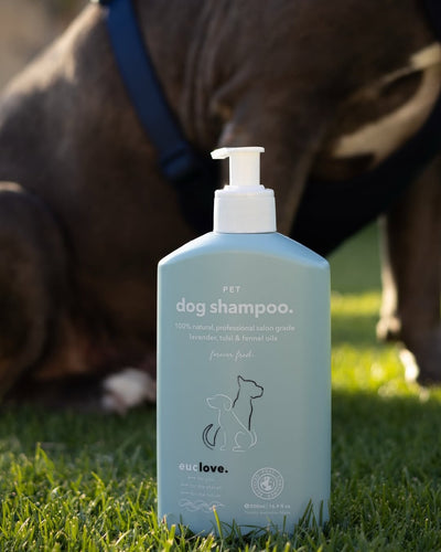 Euclove 澳洲全天然防蚤防脾洗髮露/洗毛液/寵物沖涼 (沙龍級配方) 500ml