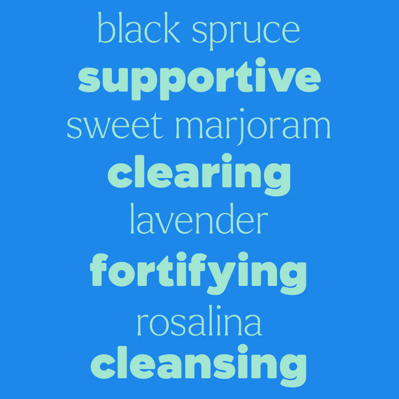 Plant Therapy Kid 兒童複方滾珠精油 安全殺菌抗菌