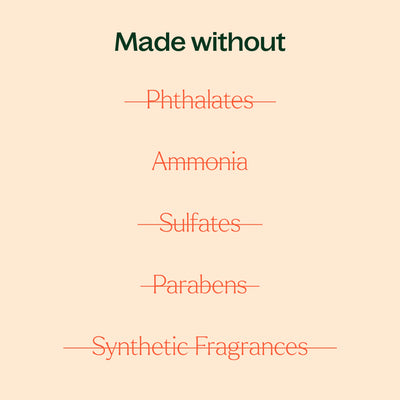 Plant Therapy 強效抗菌全表面濃縮清潔劑 2件裝