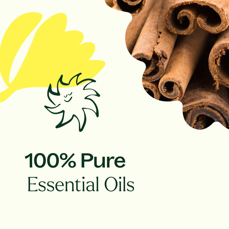 Plant Therapy 強效抗菌全表面濃縮清潔劑 30ml 2件裝