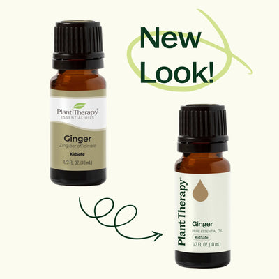 Plant Therapy 純單方精油 生薑