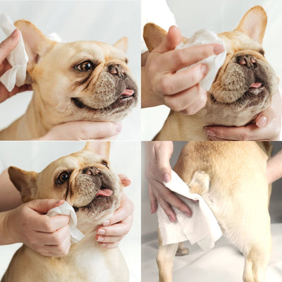 LOMI Pet Grooming Wipes 80 sheets
