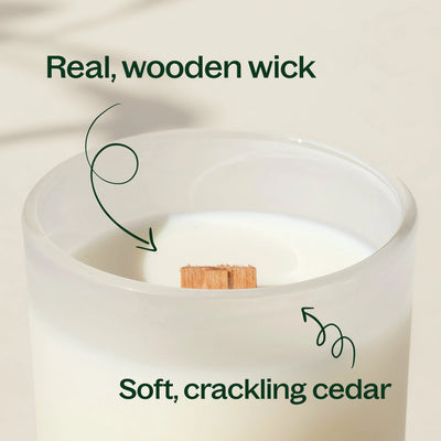 Plant Therapy 橙花公主天然香氛蠟燭 9oz