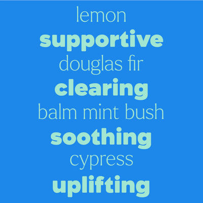 Plant Therapy Kid Quiet Cough 兒童複方滾珠精油 停咳舒緩鼻敏感