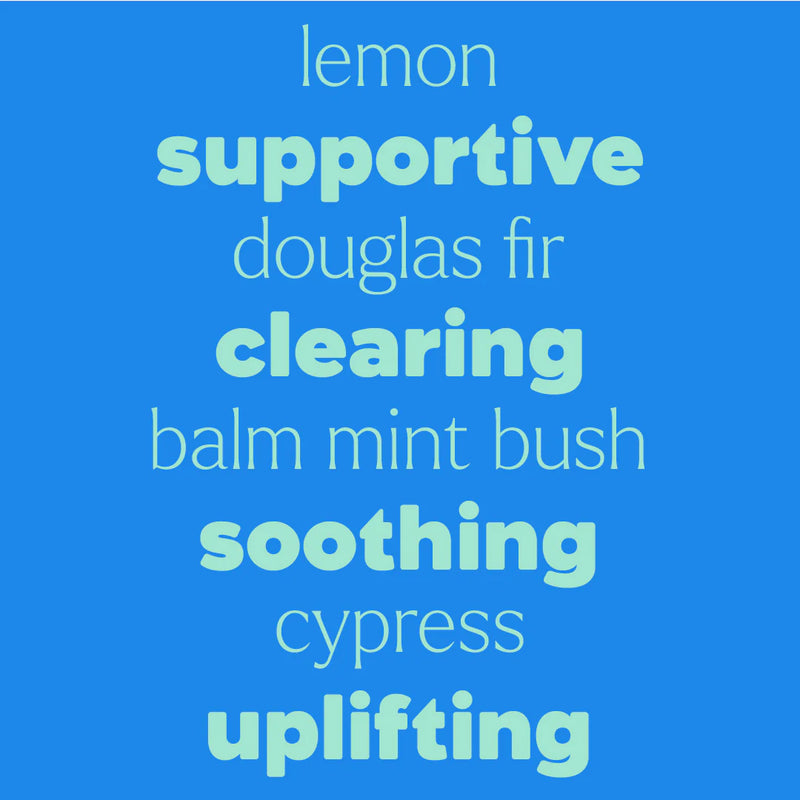 Plant Therapy Kid Quiet Cough 兒童複方滾珠精油 停咳舒緩鼻敏感