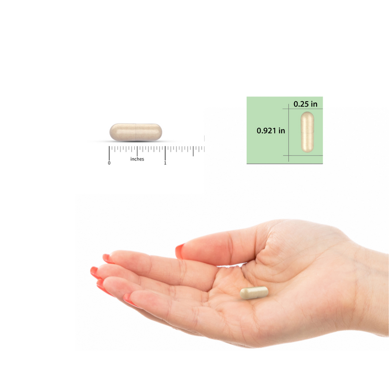 【Pre-order】CanXida Restore Formula RST 60 capsules