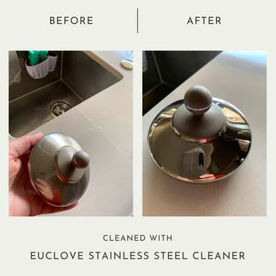Euclove Stainless Steel Cleaner 500ml