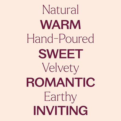 Plant Therapy 雲呢拿琥珀天然香氛蠟燭 9oz