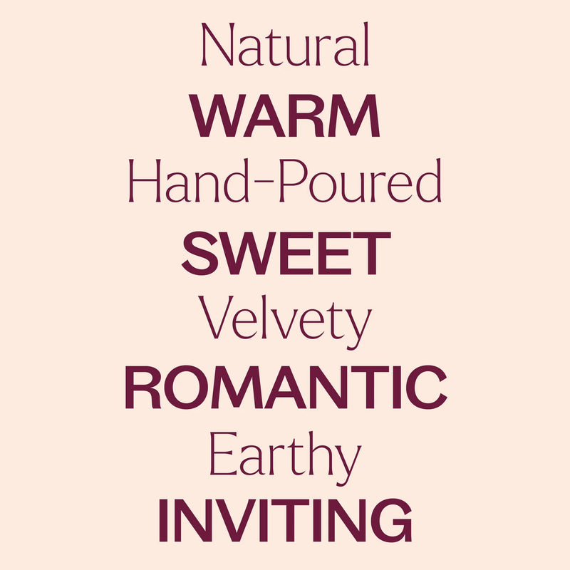 Plant Therapy 雲呢拿琥珀天然香氛蠟燭 9oz