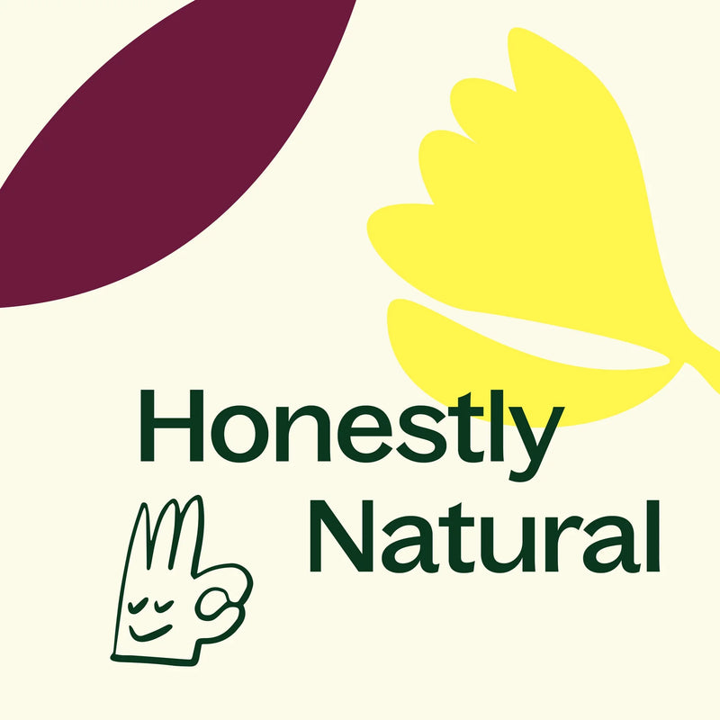 Plant Therapy 雲呢拿琥珀天然香氛蠟燭 9oz