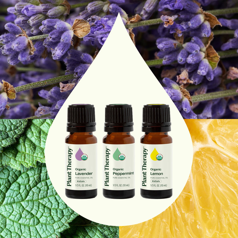 Plant Therapy 精選有機(單方)精油套裝 3x10ml