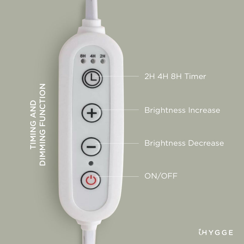 iHYGGE 北歐牽牛花融蠟燈禮盒