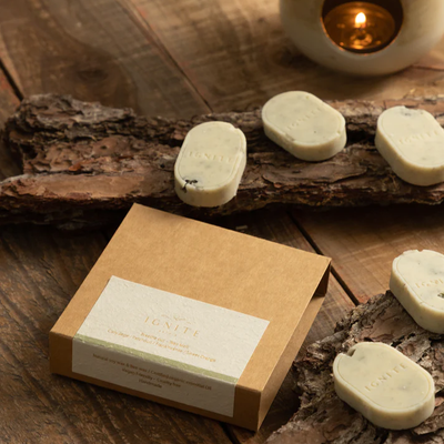 【IGNITE CANDLE】Aromatherapy Scented Wax Bricks - Breathe Out
